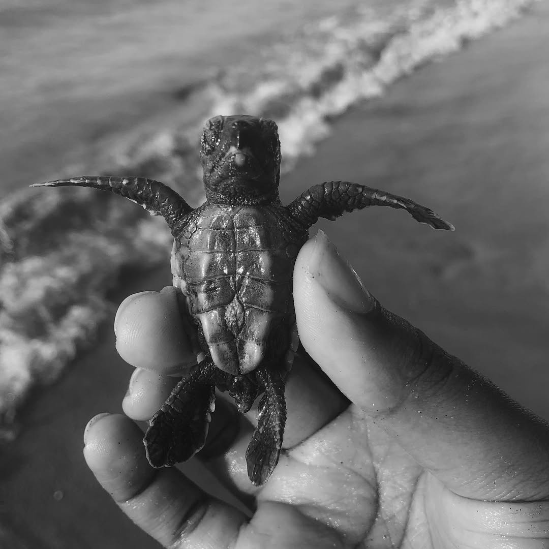 Conservation Starts With You